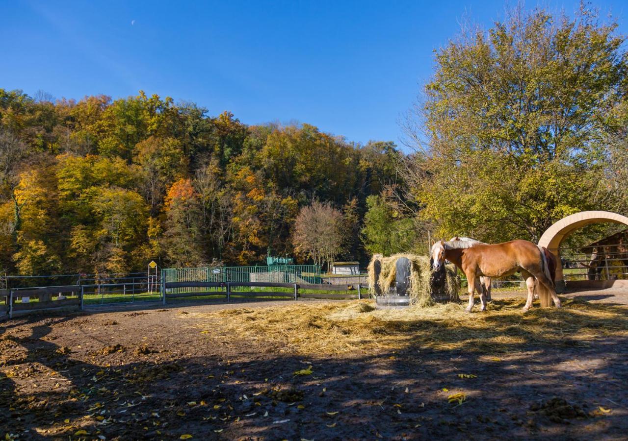 Hotel & Ferienwohnungen Bohlenblick Saalfeld Saale ภายนอก รูปภาพ