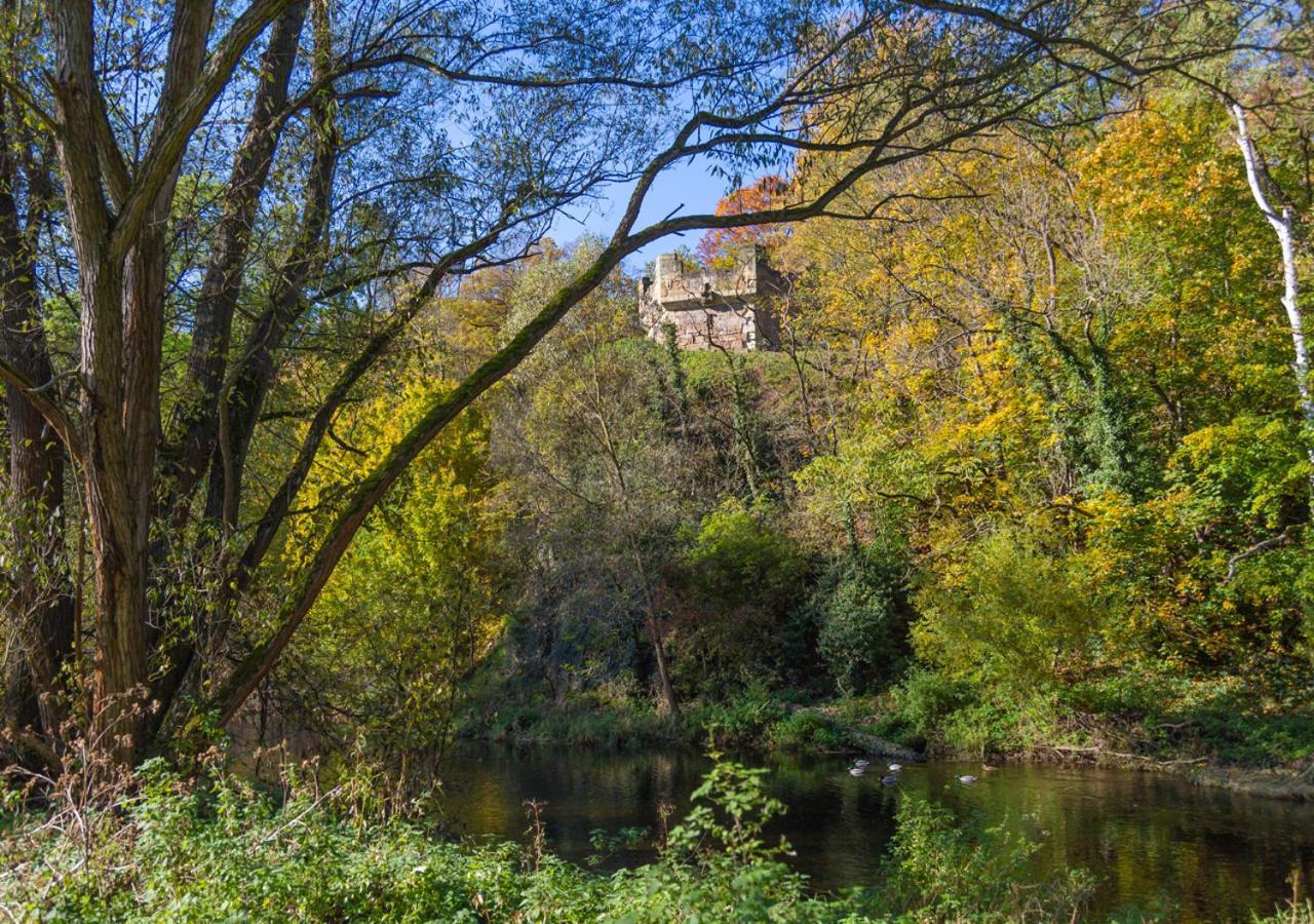 Hotel & Ferienwohnungen Bohlenblick Saalfeld Saale ภายนอก รูปภาพ
