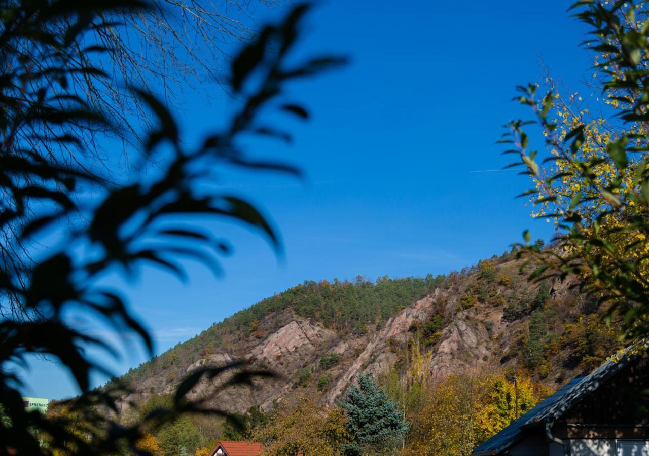 Hotel & Ferienwohnungen Bohlenblick Saalfeld Saale ภายนอก รูปภาพ